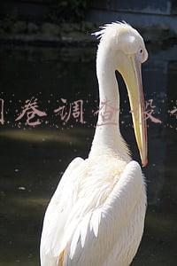 制作问卷调查的软件(16个在线问卷工具（运营必备）)