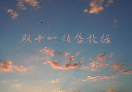 双十一销售数据