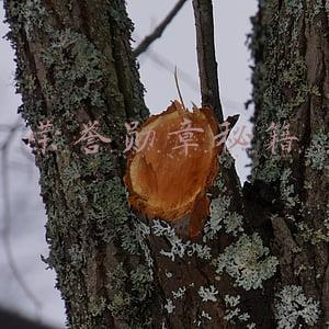 荣誉勋章秘籍