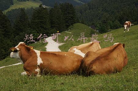 短信可以屏蔽吗