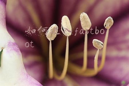 如何进入fastboot