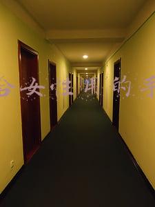 适合女性用的手机号码(媚儿过生日，我把自己的手机号码给她)