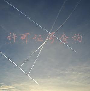 入网许可证号查询(史上最权威查询攻略——特种作业操作证及安全生产知识和管理能力考核合格信息查询)