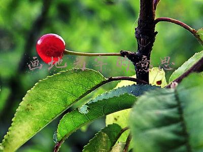为爱画地为牢的意思(总有一个人，不能相濡以沫，却会相思一生)
