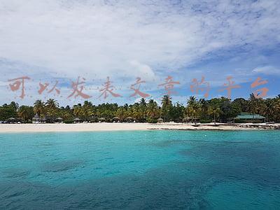 可以发表文章的平台