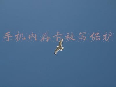 手机内存卡被写保护