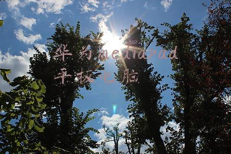 华为mediapad平板电脑