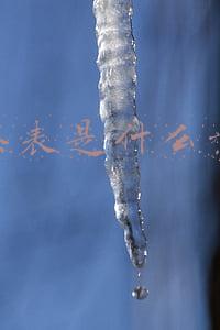 绿茶是指什么样的人(什么样的女生是“绿茶”？遇到这样的女生要避而远之)