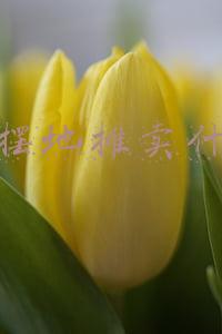 秋天摆地摊卖什么好