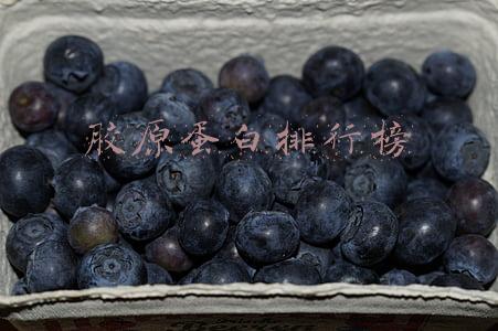 胶原蛋白排行榜