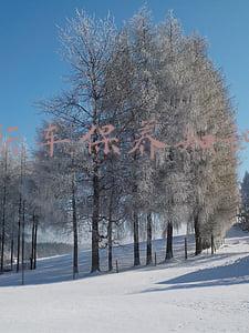 新车保养知识