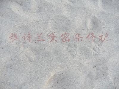 雅诗兰黛密集修护