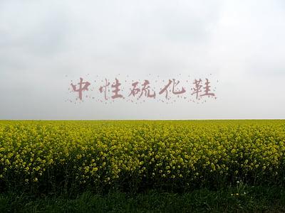 中性硫化鞋