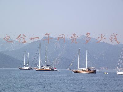电信一年网费大概多少钱(网费年底前有望降三成)