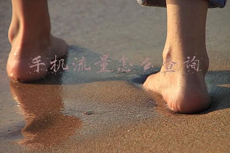 手机流量怎么查询