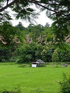 高夫洗面奶怎么样