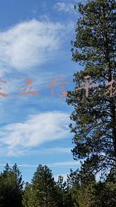 索尼爱立信平板电脑
