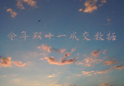 今年双十一成交数据