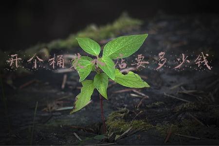 开桶装水厂需要多少钱(开个桶装水厂需要多少钱)