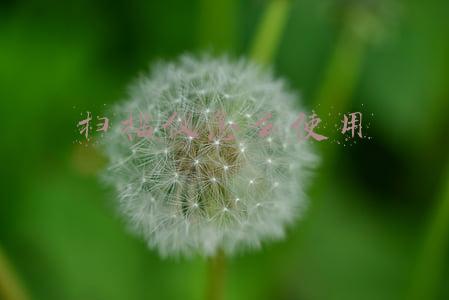 扫描仪怎么使用