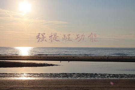 强提醒功能