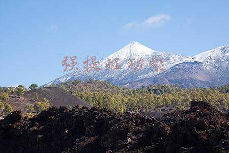 强提醒功能