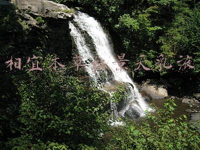 相宜本草红景天乳液成分(李佳琦推荐的国货之光——相宜本草红景天套盒来啦)