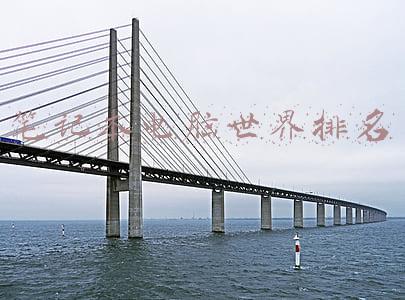 笔记本电脑世界排行榜(外媒评选笔记本品牌Top10 联想第一苹果第七)
