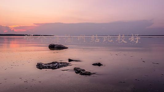 哪个海淘网站比较好