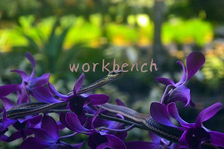 workbench中文界面设置(CentOs7下mysql使用图形化工具MySQL WorkBench管理数据库)