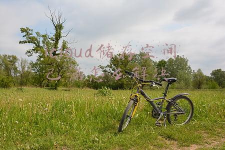 icloud储存空间已满怎么解决