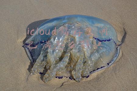 icloud储存空间已满怎么解决