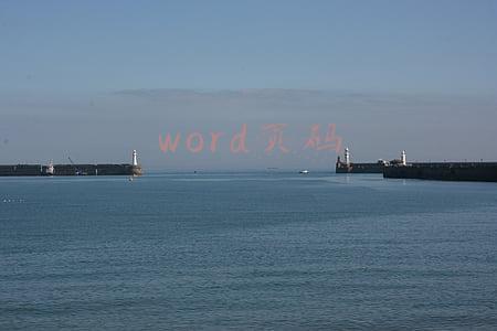 word页码