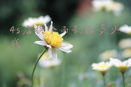 汽修店换个雨刮器多少钱-汽车的雨刷器断了换一个多少钱啊?