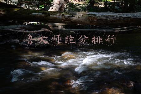 鲁大师跑分排行