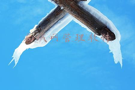 局域网管理软件哪个好(IT人员必备软件-局域网管理工具)