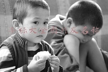 车标大全图片及名称图(交通安全标示大全及图解！建议收藏，以备不时之需)