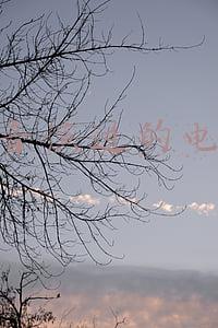 演员雷佳音演过的电视剧(从《长安十二时辰》到《人世间》，雷佳音再一次让人刮目相看)