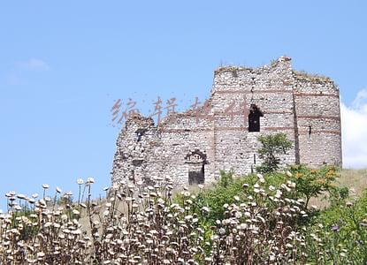 编辑软件
