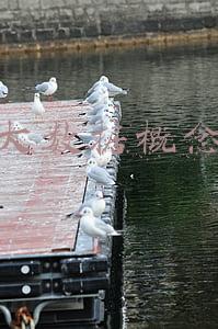 大数据概念