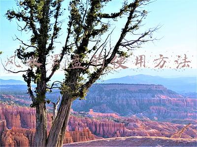 风水罗盘的使用方法之罗盘第六层穿山七十二龙(穿山七十二龙用法)