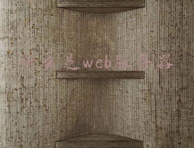 web服务器是什么意思(Web开发的入门指导)