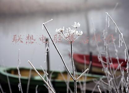 联想电脑售后维修服务网点 广州(广州塔“倒下了”？耗资1600万的百米天桥引争议，回应：叫“时空隧道”，没抄袭)