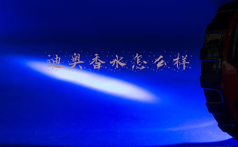迪奥香水怎么样