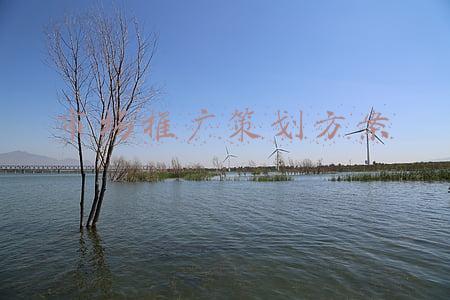 产品推广计划方案(短视频运营抖音电商推广计划书品牌市场营销策划方案模板ppt范文)