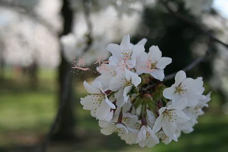 进货渠道