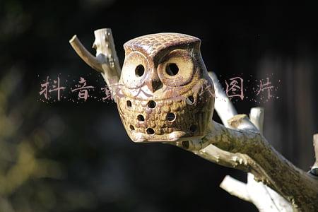 抖音最火壁纸图片