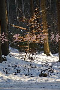 在家里如何赚钱的方法(工资低养不活自己，这4种副业既不耽误主业，还能让你越变越有钱)