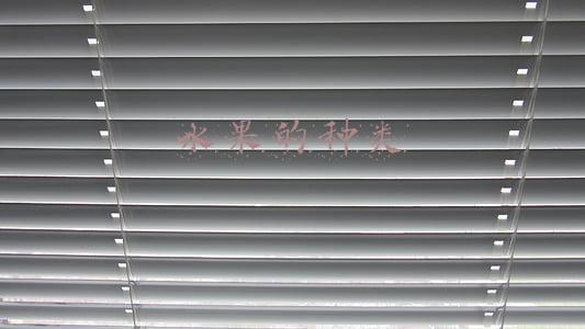 水果的种类