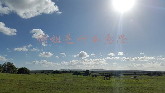 御姐是什么意思